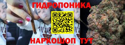 СК Тулун
