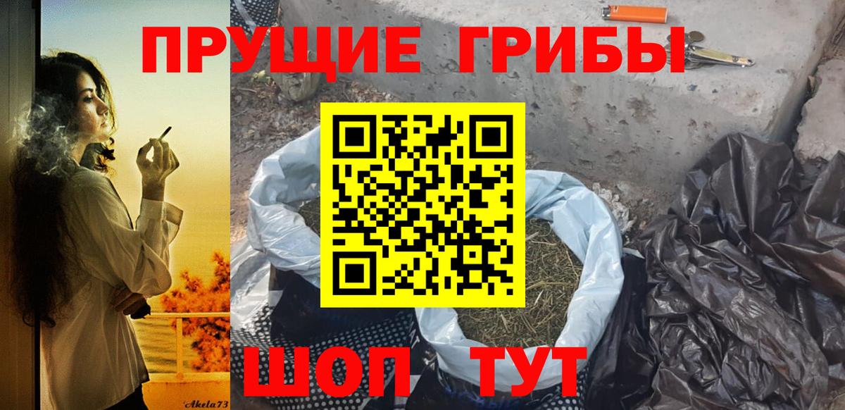 Псилоцибиновые грибы Cubensis Менделеевск
